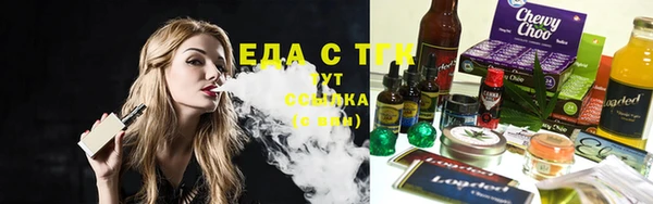 гашик Арсеньев