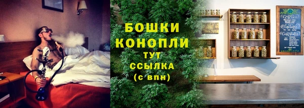 гашик Арсеньев