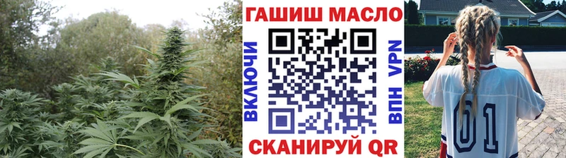 ТГК THC oil  Кашин 